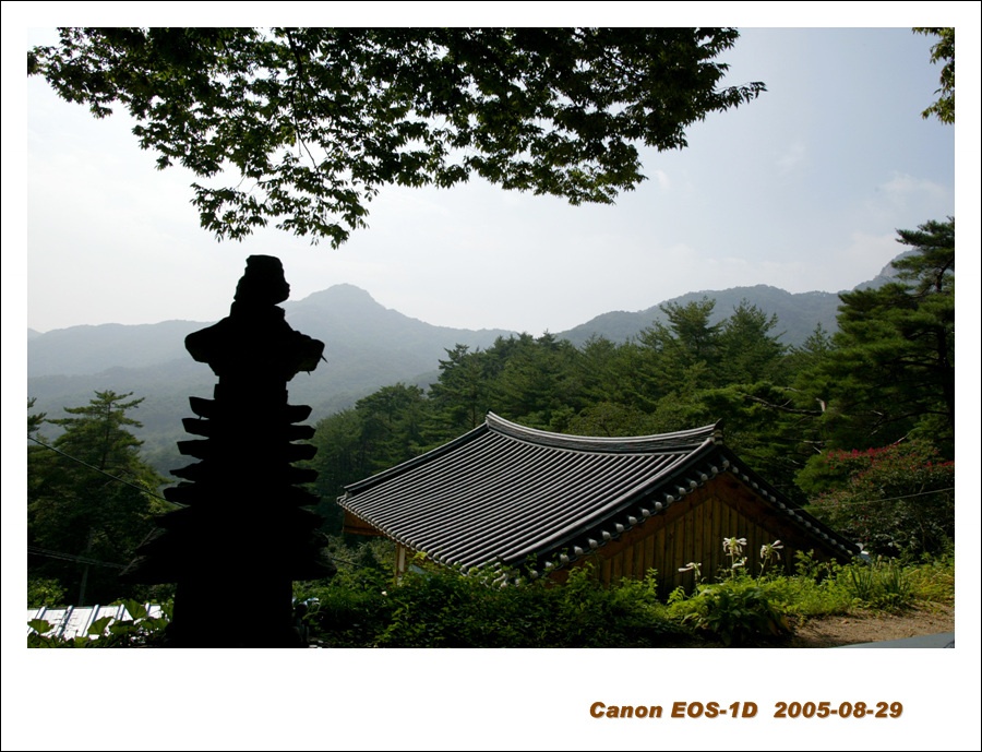 ̹ ŬϽø Ȯؼ   ֽϴ.